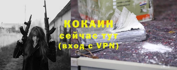 соль ск Алзамай