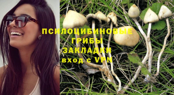 крисы Алексин