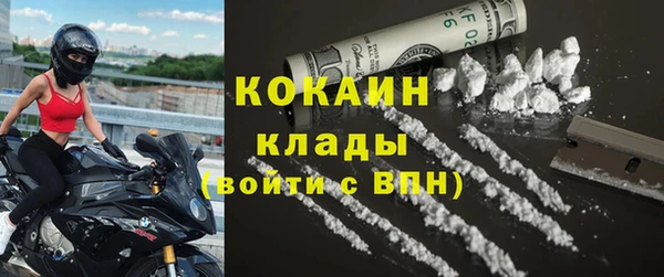 крисы Алексин