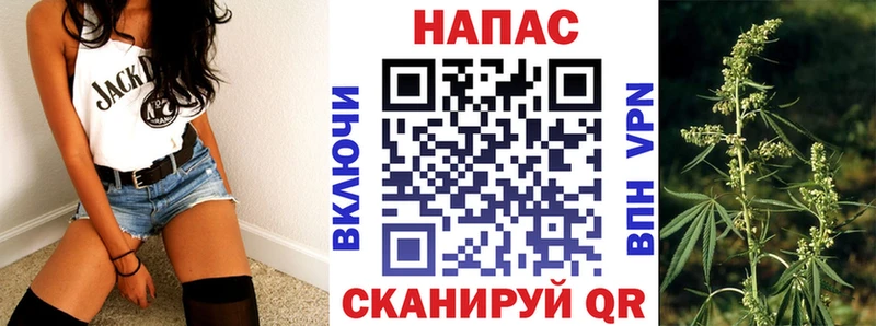 где купить наркоту Туймазы Шишки марихуана индика